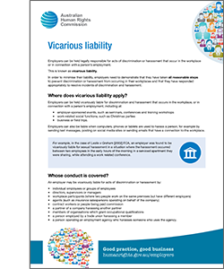 Vicarious liability guide cover image