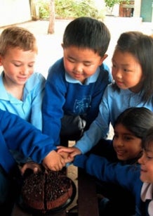 Photo: Cooperation by Amanda Lim - school children sharing a cake