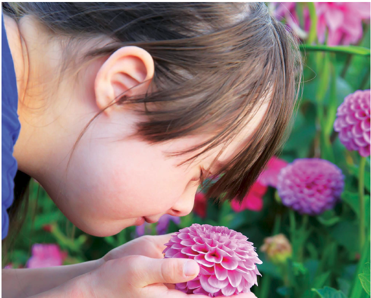 Girl with Down Syndrome smelling pink flowers 