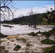 Photo of Murray Darling River Basin