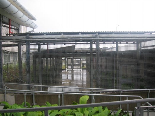 Photo of Christmas Island IDC caged walkways