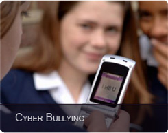 violence harassment and bullying australian human rights commission