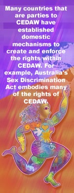 Many countries that are parties to CEDAW have established domestic mechanisms to create and enforce the rights within CEDAW. For example, Australia's Sex Discrimination Act embodies many of the rights of CEDAW.