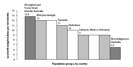 Graph 5: Low birth weight babies, international comparisons (2000) : Low birth weight babies per 1000 births, Indigenous Australia 12.8, Senegal 12, Eithiopia 12, Tanzania 11, Zimbabwe 10, Lebanon 9, Mexico 9, Indonesia 9, Non-Indigenous Australia 6.5