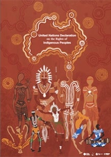 Cover of UNDRIP community guide